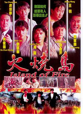 火烧岛(1991)