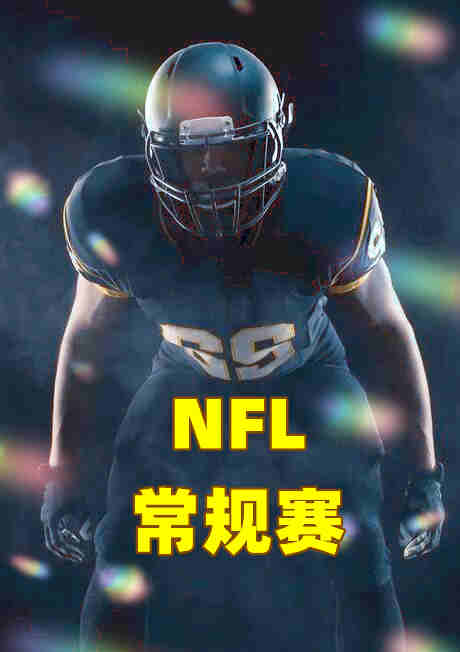 NFL常规赛-乌鸦vs海盗