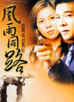 风雨同路（1994）