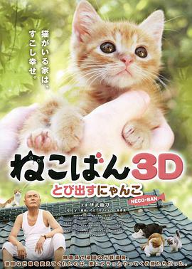 小猫跳出来3D